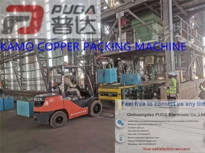 Empaquetadora del bolso de la tonelada del polvo del mineral fino de 500kg 1000kg